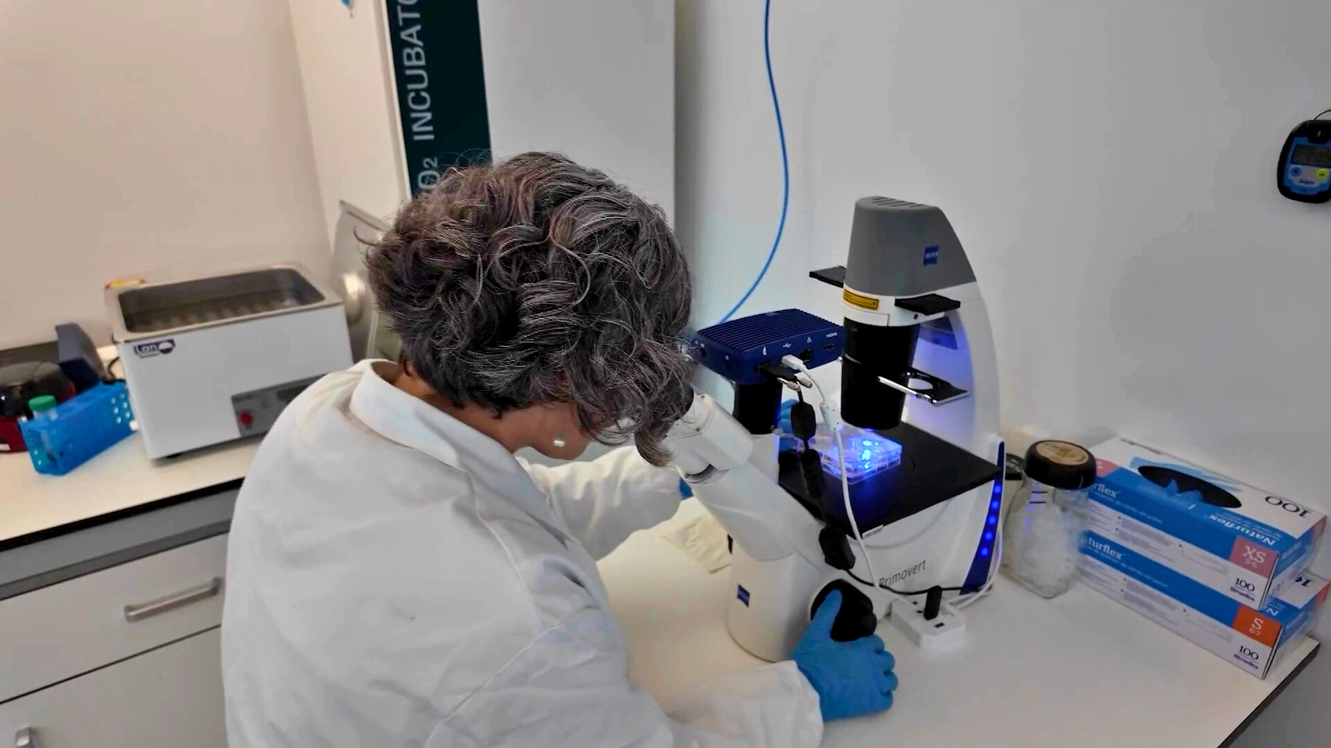 Laboratorio Viva in Vitro Investigación Sepsis Inflamasomas NLRP3